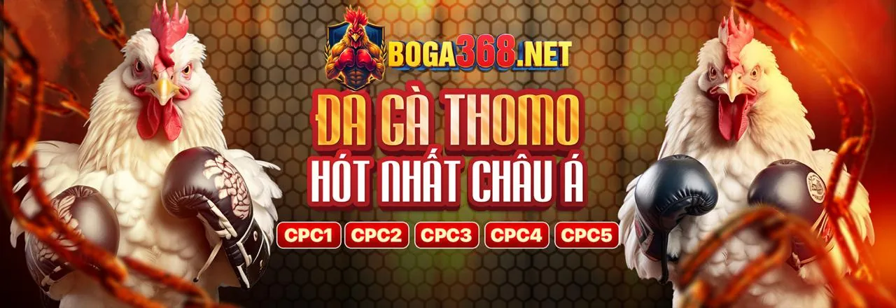Ưu đãi thành viên mới ok365